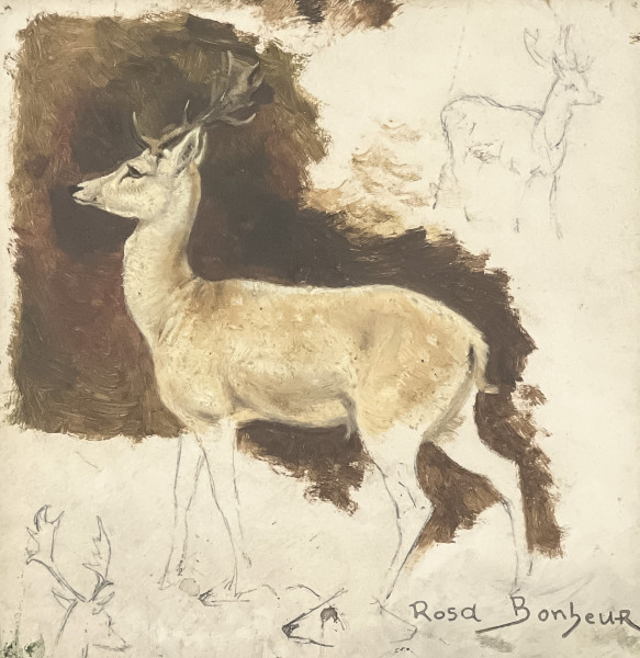 Lot 116, Rosa Bonheur, Study of a Deer