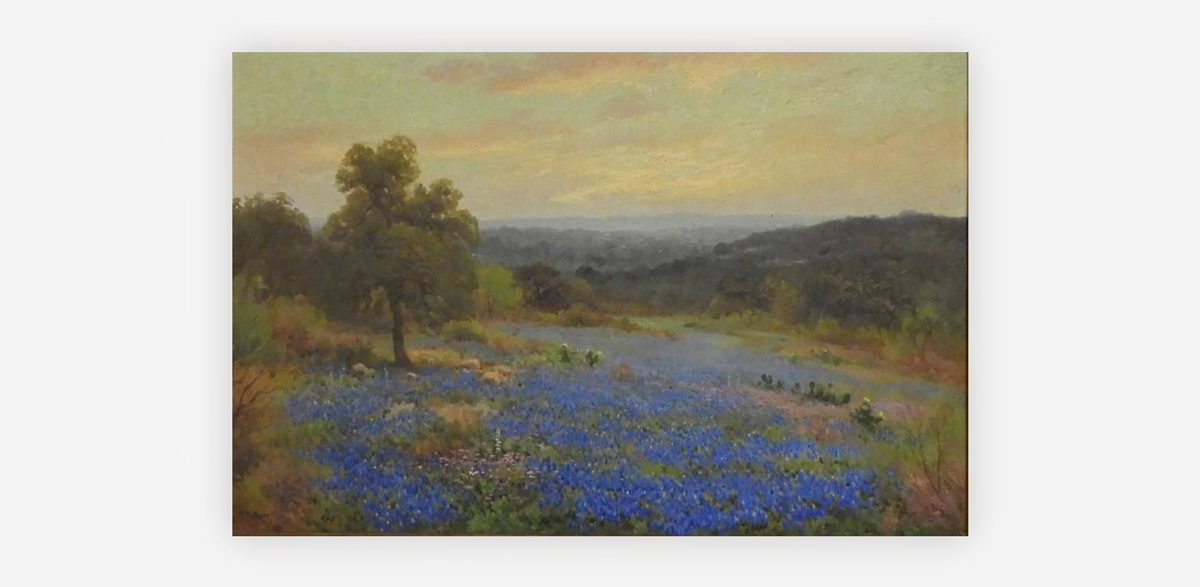 Texas Hills with Bluebonnets