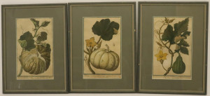 Image for Lot After Magdalena Bouchard, 3 Prints of Melons
