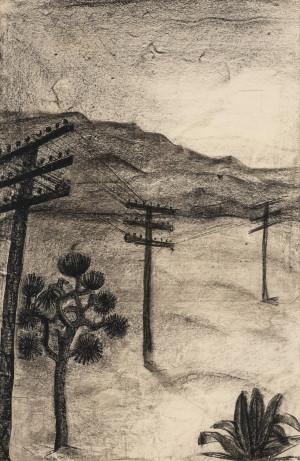 Image for Lot Unknown Artist - Untitled (Joshua Tree)