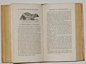 Image for Lot Thomas BEWICK General History of Quadrupeds. 1791