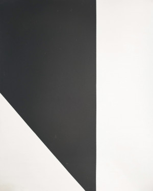 Image for Lot Unknown Artist - Untitled (Black and White Composition)
