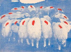 Image for Lot Menashe Kadishman - Untitled (Sheep)