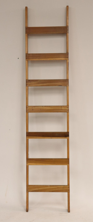Image for Lot Mid Century Poplar Library Ladder