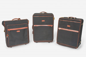 Image for Lot T. Anthony Ltd. - Lot of Luggage (3 pieces)
