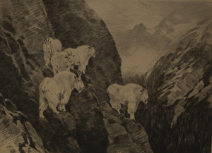 Image for Lot Carl Rungius - Goats