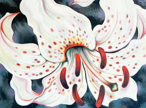 Image for Lot Lowell Nesbitt - Spotted White Lily