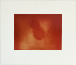 Image for Lot Anish Kapoor - Untitled (#15 from the 15 Etchings Portfolio)