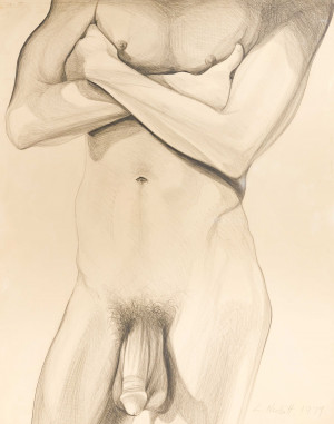 Image for Lot Lowell Nesbitt - Untitled (Crossed Arms)