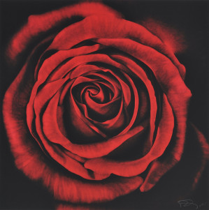 Image for Lot Robert Longo - Untitled (Rose, from Ophelia)