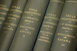 Image for Lot Group of books the shells of Spain and Portugal