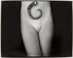 Image for Lot Sally Mann - Equivalent #2 Possum Tail