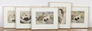Image for Lot Set of 6 Water Fowl Prints, after Rex Brasher