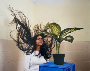 Image for Lot Mika Rottenberg Untitled (Hair Plant)