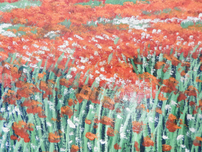 Otto Campagnari - Poppy Fields I