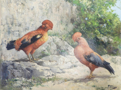 Honoré Camos - Two Guianan Cock-of-the-Rock