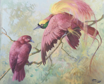 Honoré Camos - Pink Birds of Paradise