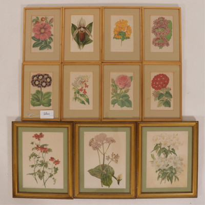 Image for Lot Set of 8 Botanical Studies