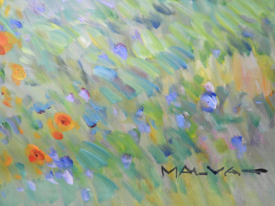MALVA - Soft Rolling Fields of Poppies