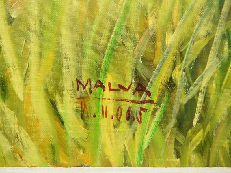 MALVA - Wild Gardens