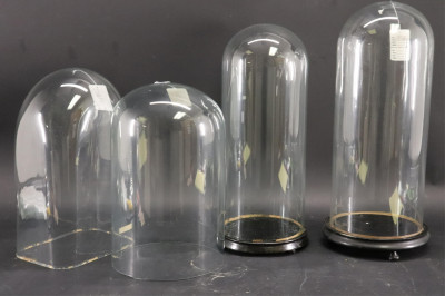 Four Glass Specimen Display Domes