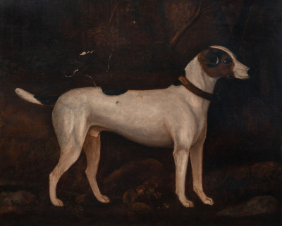 Artist Unknown - Jack Russell Terrier