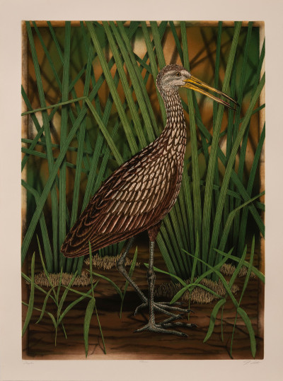 John Costin - Large Florida Birds (Book)