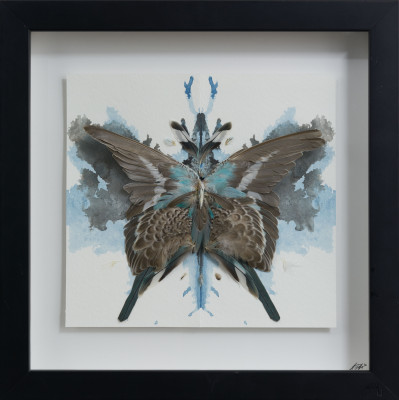 Unknown Artist - Bird Wing Butterfly Black and Blue