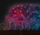 Image for Artist Andy Kehoe