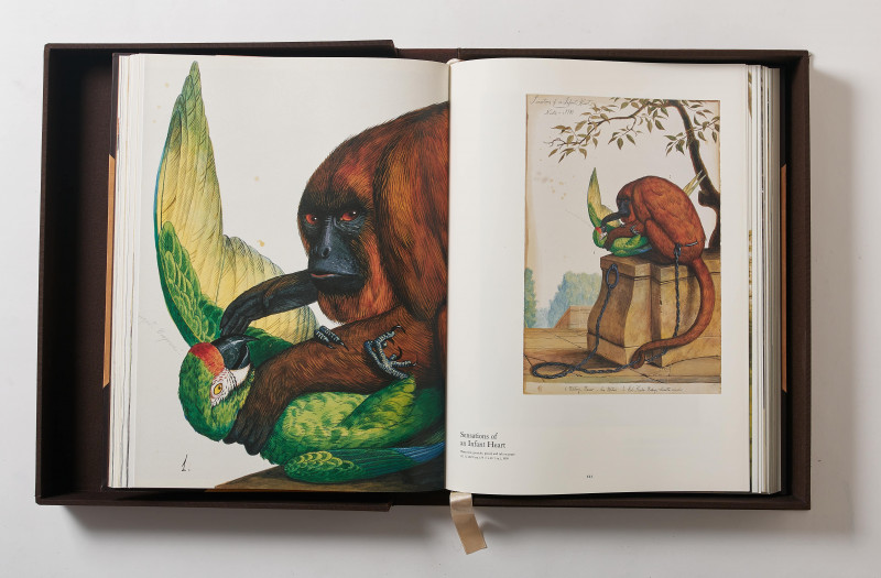 Walton Ford - Poncha Tantra (Taschen Baby SUMO Limited Edition Book)