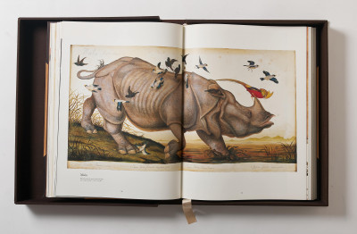 Walton Ford - Poncha Tantra (Taschen Baby SUMO Limited Edition Book)
