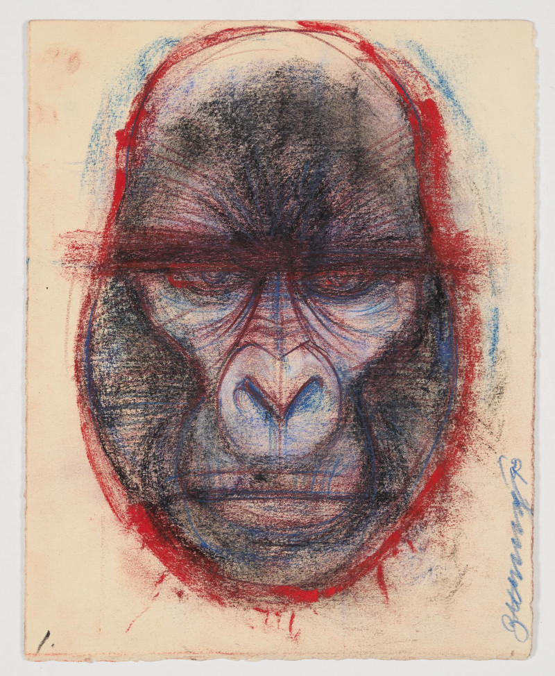 Bob Ziering - Untitled (Gorilla)