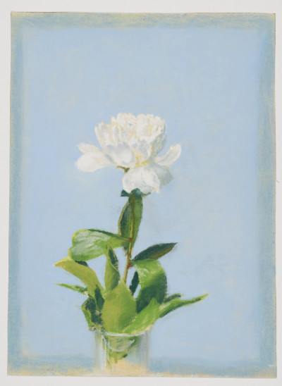 Unknown Artist - Group, two (2) Pink and white flowers