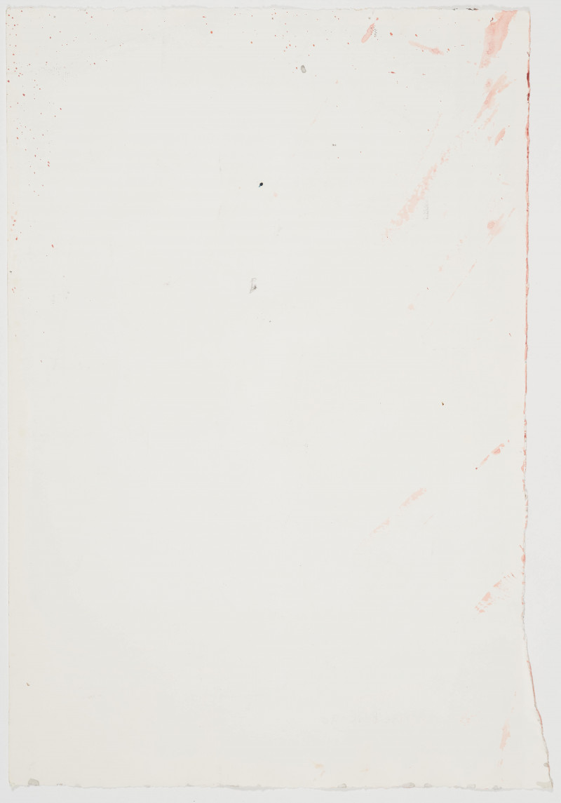 David Rankin - Untitled (Pale pink on white)