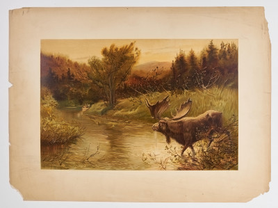 Various Artists - Group, four (4) Wildlife scenes
