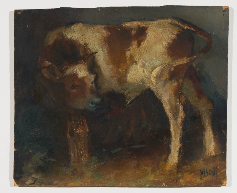 Benoît Gilsoul - Untitled (Cow)