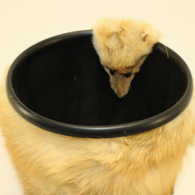 Red Fox Rug &amp; Fox Waste Basket