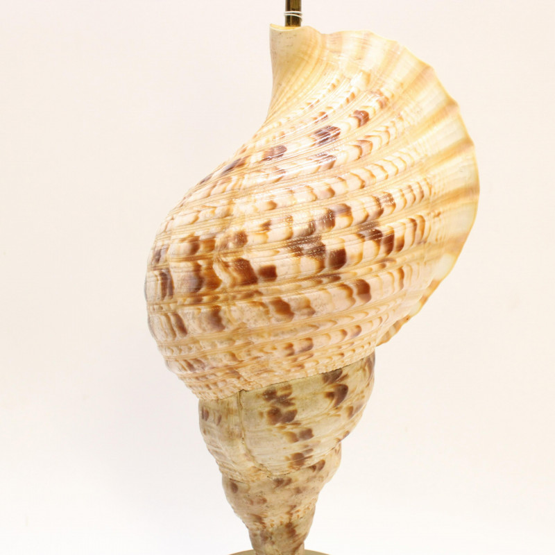 Two Sea Shell &amp; Cast Resin Lamps, Circa 1975