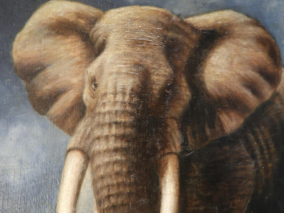 Gerry Dvorak - Elephant