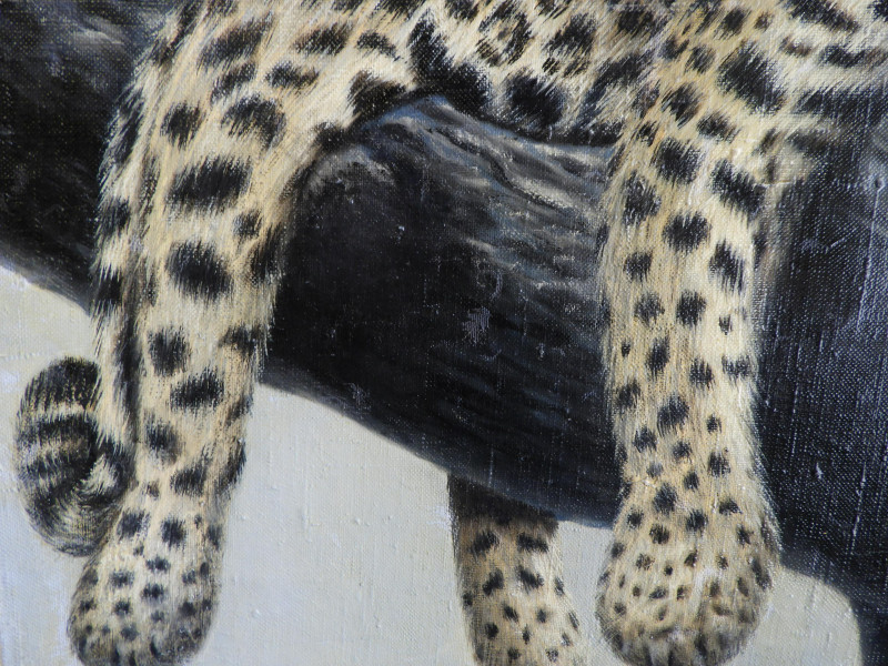 Gerry Dvorak - Snow Leopard