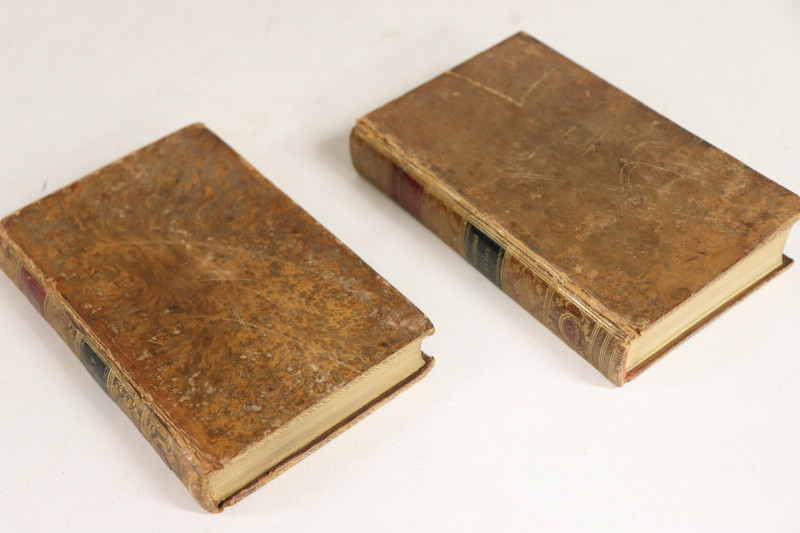 Leather Bound 18th C. Volume Set - Johnson's Poets