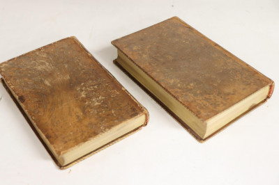 Leather Bound 18th C. Volume Set - Johnson's Poets
