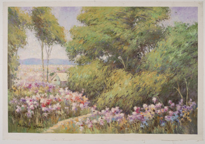 Charles Zhan - Flower Field