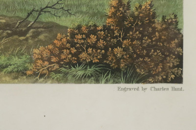 Chares Hunt, Newton Races 1831 Fylde