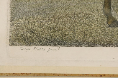 George Stubbs, Eclipse, etching