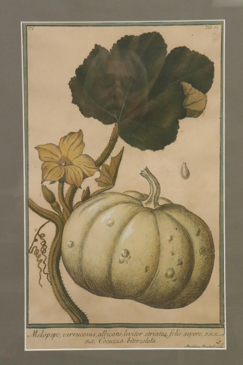 After Magdalena Bouchard, 3 Prints of Melons