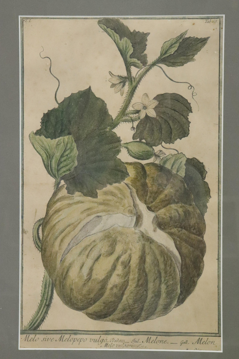 After Magdalena Bouchard, 3 Prints of Melons