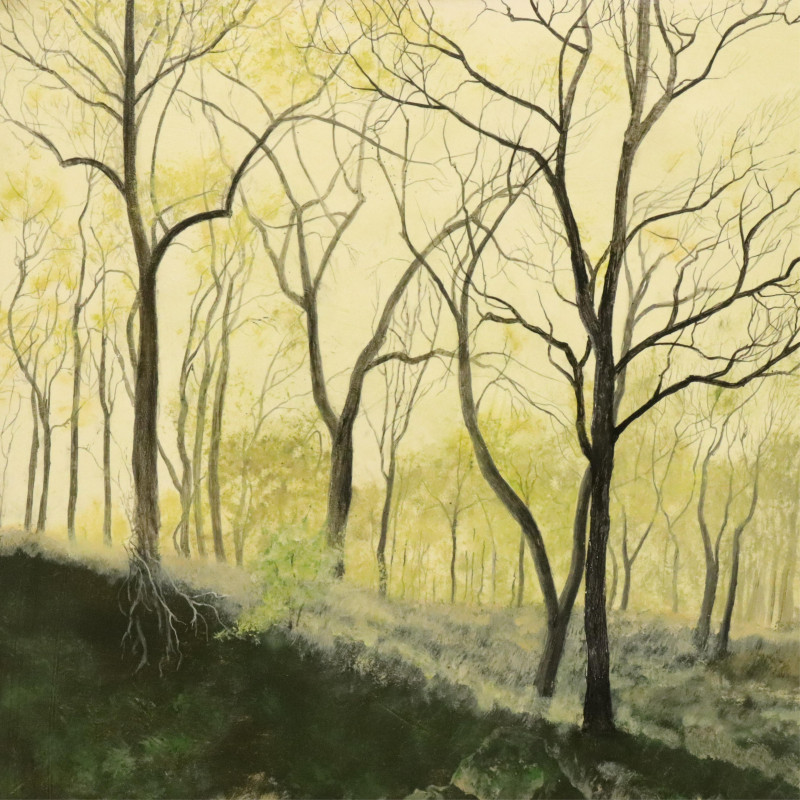 Kirk Tatom, b.1955, Trees by Stream, O/B