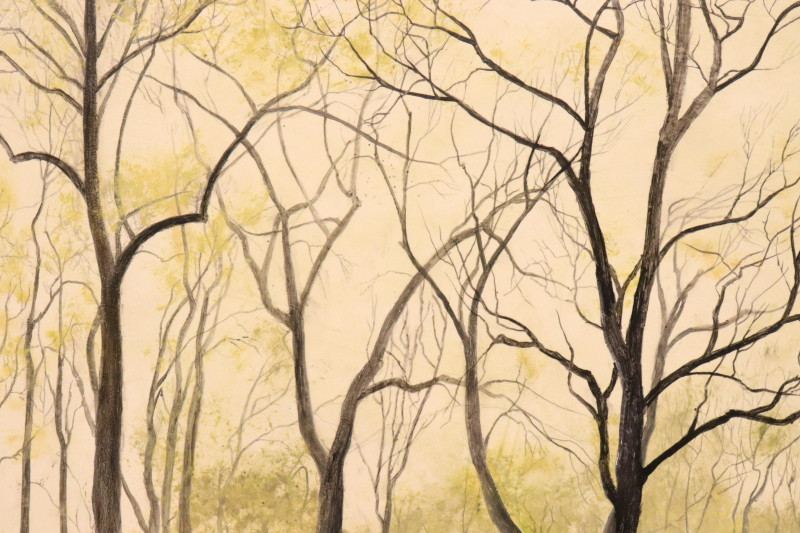 Kirk Tatom, b.1955, Trees by Stream, O/B