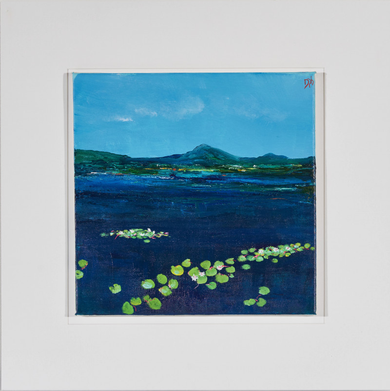 David Gordon Hughes - Water Lilies, Connemara